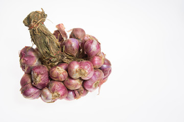 Shallots