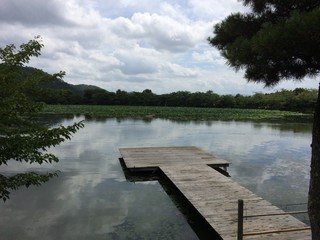 池の桟橋