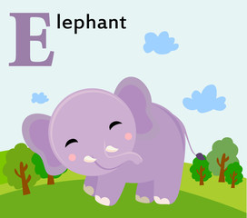 Animal alphabet for the kids: E for the Elephant