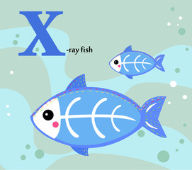 Animal alphabet for the kids: X for the X-ray fish