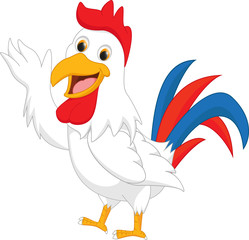 happy rooster cartoon presenting