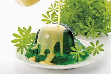 Waldmeister (Galium odoratum) Pudding mit Vanillesauce, übergiessen,
