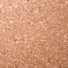 Texture the cork tree. Background