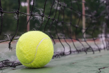 The tennis ball