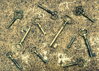 Old golden keys over vintage animal leather background
