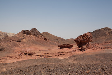Timna: valley of the ancient copper mines
Mushroom and a half