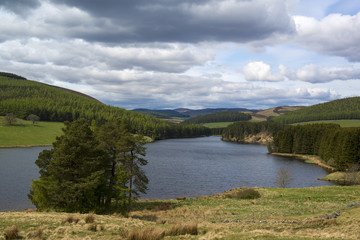 Obraz premium Backwater Reservoir, Angus, Scotland