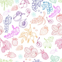 Foto op Plexiglas Vector seamless pattern with berries on a white background © nafanya241
