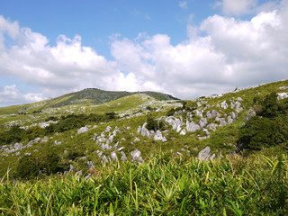 Fototapeta na wymiar 福岡県貫山登山での登山道からの景色 