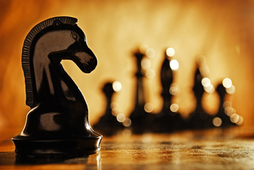 Chess knight . © sergign