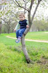 A Little Boy Sitting on a Cherry Tree