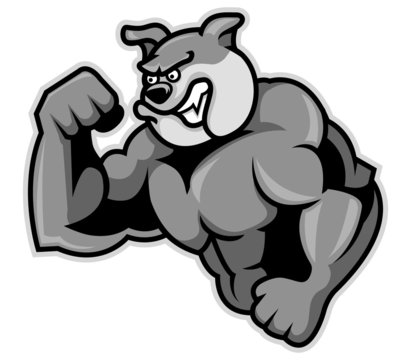 Bulldog Muscle