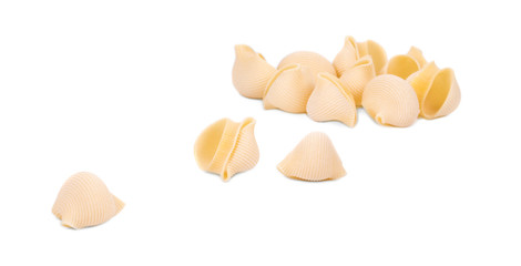 Close up of Italian pasta shells. 
