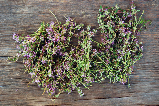 background of fresh thyme on wooden table