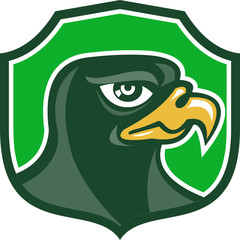 Falcon Head Side Shield Retro