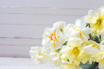 Background with fresh narcissus