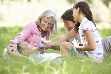 Fototapeta premium Grandparents With Grandchildren Relaxing In Summer Field