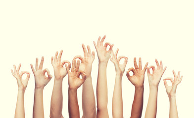 human hands showing ok sign