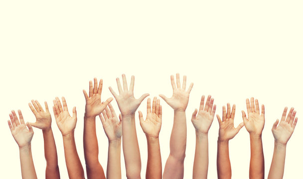 Free Hands Images – Browse 118,560 Free Stock Photos, Vectors, and ...