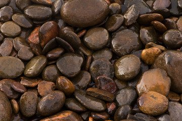 Wet Conglomerate background