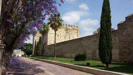 Murallas alcázar de Jerez de la Frontera (Sherry  walls)  - 84450058