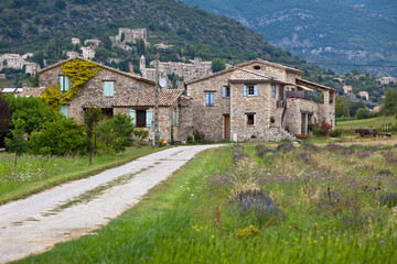 Fototapeta na wymiar Stone farmhouse in Provence mountains, France