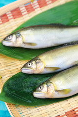 鮎