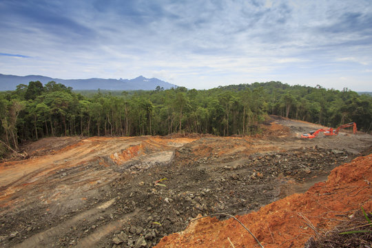Deforestation logging environmental problem in Borneo, Malaysia