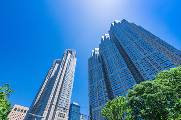 Fototapeta premium 東京 西新宿の高層ビル