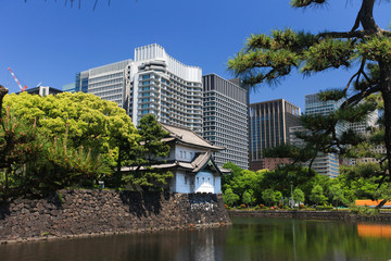Naklejka premium Imperial palace and Tokyo skyline