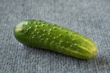 Cucumber.