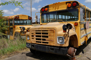 Un cimetière de bus scolaire américain