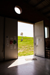 ruota eolica con traliccio 