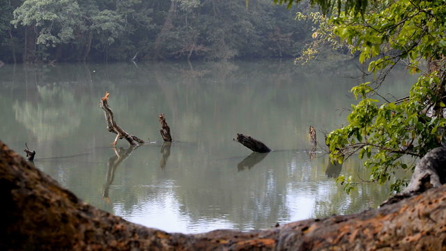 Kumana National Park, formerly Yala East, Sri Lanka, Asia