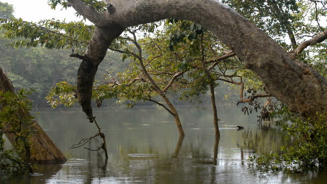 Kumana National Park, formerly Yala East, Sri Lanka, Asia