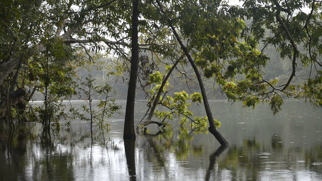 Kumana National Park, formerly Yala East, Sri Lanka, Asia