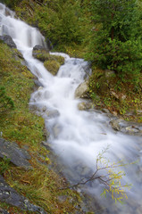 Fototapeta premium Milky river