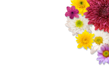 arrangement flower frame isolated on white background