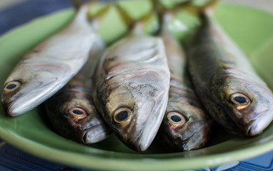 Fresh mackerel on a plate