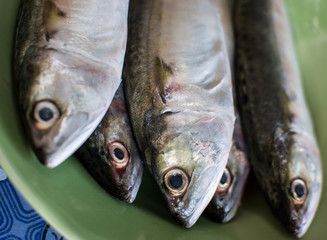 Fresh mackerel on a plate