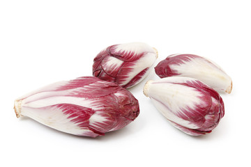 endive rouge