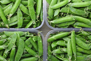 fresh green peas in a plastic container on a wooden background