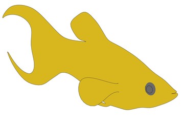 2d cartoon image of poecinia sphenops