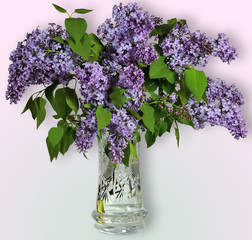 Lilac flowers bouquet
