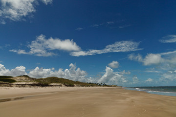 spiaggia tropicale con palmeto
