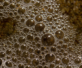 sea foam bubbles
