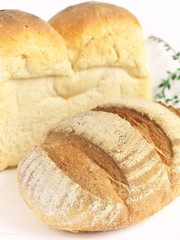 食パンとカンパーニュ