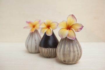 Ceramic vase with flower spa concept background 