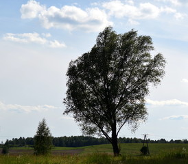 krajobraz na Polskiej wsi  © agnes78