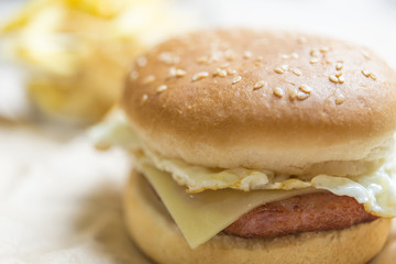Tasty and appetizing hamburger cheeseburger